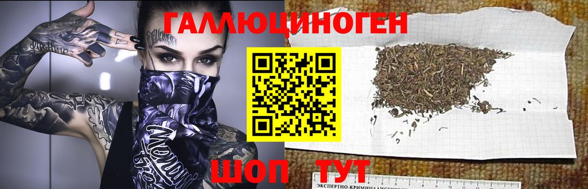 Галлюциногенные грибы Psilocybe  Псилоцибиновые грибы Psilocybine cubensis  Киселёвск  Вход с VPN 
