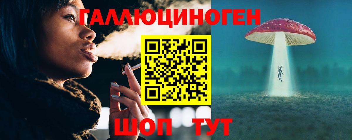 Псилоцибиновые грибы Psilocybe Киселёвск